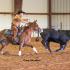 Gould Ranch Horse Show